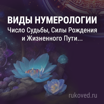 Виды нумерологии. Число Судьбы и Жизненного Пути