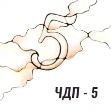 ЧДП 5