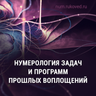 описание программ прошлых воплощений
